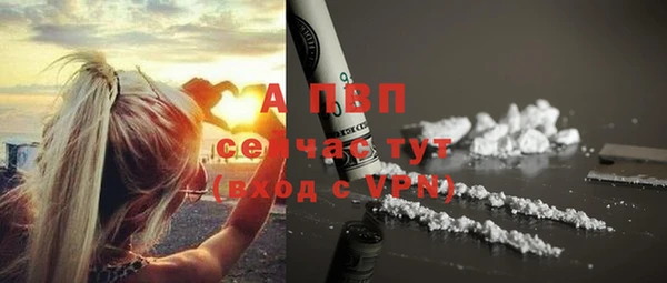 молекула духа Сафоново