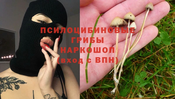 тгк Арсеньев
