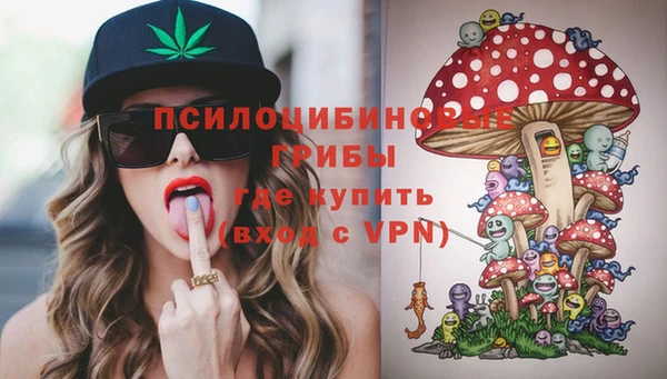 тгк Арсеньев