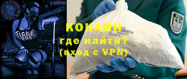 индика Армянск