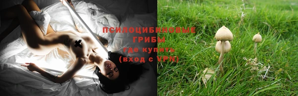 индика Армянск