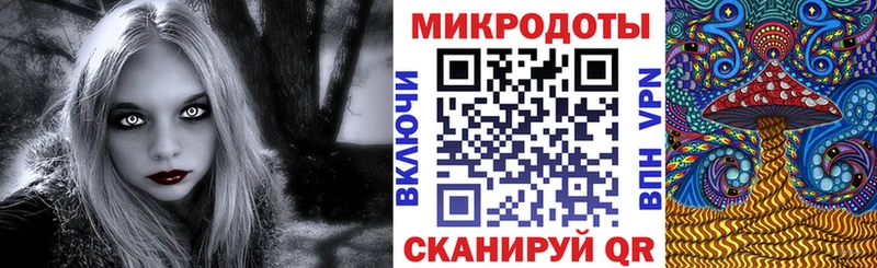 как найти закладки  Гаджиево  Галлюциногенные грибы GOLDEN TEACHER 